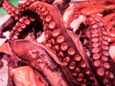 Deniz ürünleri pazarındaki kırmızı ahtapot dokunaçlarına yakın çekim.