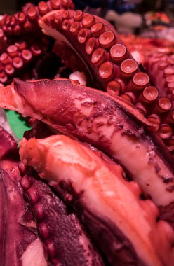 Deniz ürünleri pazarındaki kırmızı ahtapot dokunaçlarına yakın çekim.