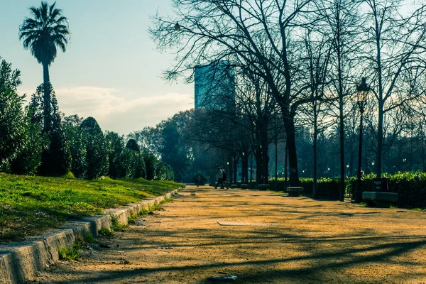 Ciutadella Park Barcelonie Widok Podłogi — Zdjęcie stockowe