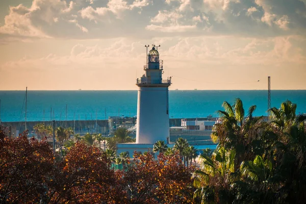 Vista Del Puerto Malaga Con Algunos Árboles Primer Plano —  Fotos de Stock