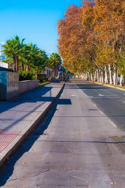 Tomma Allén Malaga Med Höstträd — Stockfoto