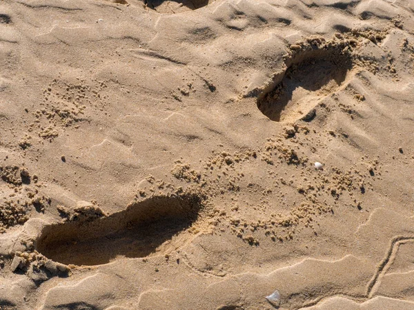Der Nähe Von Spuren Sand Schritte Ufer — Stockfoto