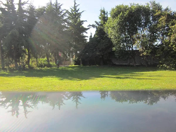 El reflejo del bosque