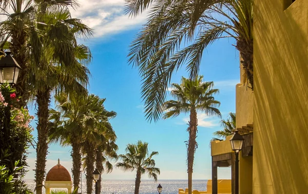 Plajın yaz manzarası