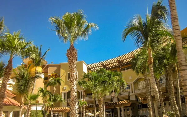  Vista de Palmeras del Oteli