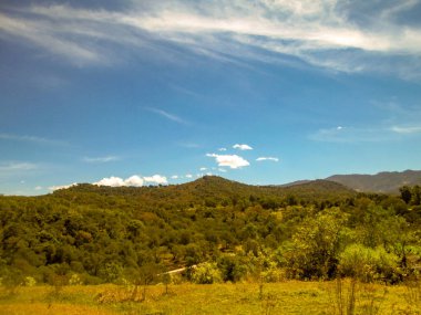Hayatın renkleri ve dokularıyla ormanın ve doğanın inanılmaz manzarası..