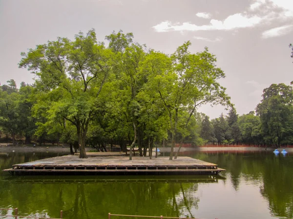 Trees Grew Center Lake — Stock Photo, Image