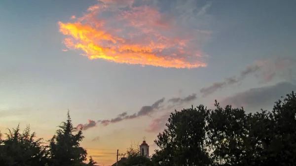 Güneşin batışı Ormandan gelen kontrastlarla.