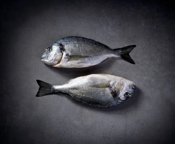 Fish Dorada Raw Fresh Grey Stone Background Top View Seafood — Stock Photo, Image