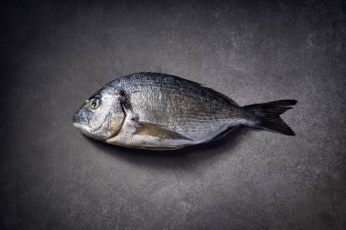 Dorada balık, çipura, yaldızlı kafalı (deniz) çipura ham ve gri taş zemin, üstten görünüm taze. Deniz ürünleri, balık