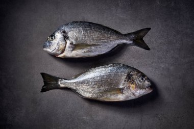 Dorada balık, çipura, yaldızlı kafalı (deniz) çipura ham ve gri taş zemin, üstten görünüm taze. Deniz ürünleri, balık