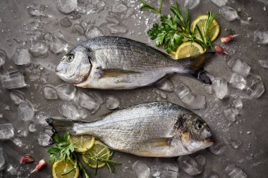 Fresh and raw fish, Dorada fish, sea bream, gilt-head (sea) bream  with ice, lemon and herbs on a grey stone background, top view. Seafood, fish clipart