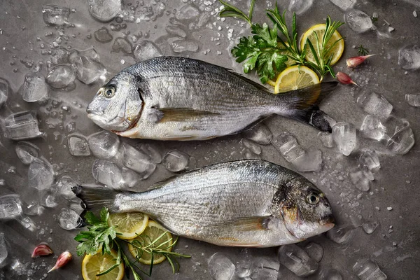 Fresh and raw fish, Dorada fish, sea bream, gilt-head (sea) bream with ice, lemon and herbs on a grey stone background, top view. Seafood, fish — Stock Image Fresh Raw Fish Dorada Fish Sea Bream Gilt Head Sea Royalty Free Stock Images