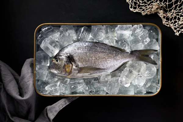 Dorada Pescado Fresco Dorada Sobre Hielo Plato Metal Sobre Fondo — Foto de Stock