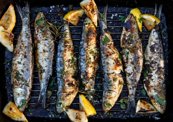 Izgara sardalya bir bitkisel limon Marine Izgara tabakta, üstten görünüm. Izgara gıda, Barbekü