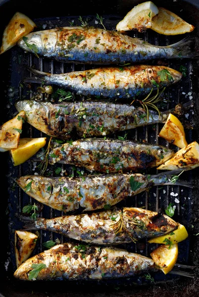 Grilled sardines in a herbal lemon marinade on a grill plate, top view. Grilled seafood, barbecue — Stock Image Grilled Sardines Herbal Lemon Marinade Grill Plate Top View Grilled Stock Image