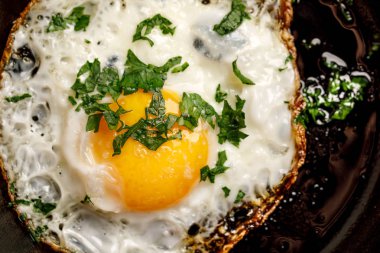 Tavan üstü görünümlü yumurta ve metin için boşluk