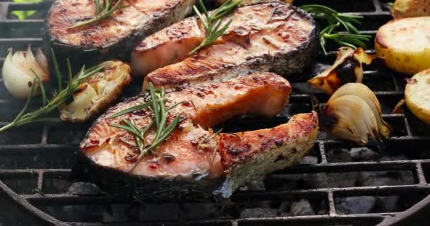 Pescado Parrilla Filete Salmón Parrilla Con Adición Romero Especias Aromáticas — Vídeo de stock