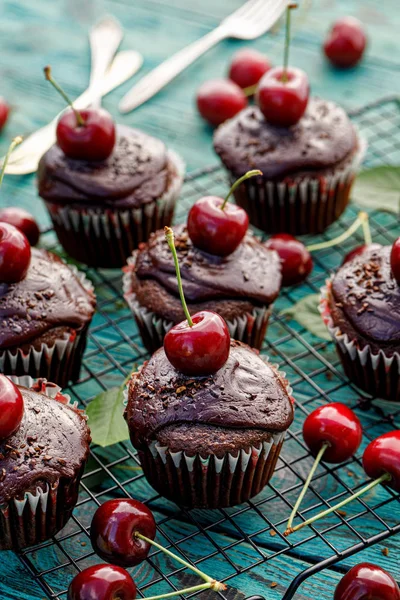 Schokolade Kaffee Muffins Mit Geschmolzener Dunkler Schokolade Und Frischen Kirschen — Stockfoto