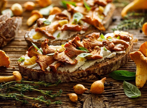 Open Faced Sandwich Mushroom Sandwich Chanterelle Mushrooms Creamy Goat Cheese — Stock Photo, Image