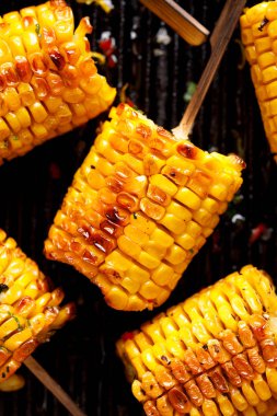 Izgara mısır ızgara tabağı, yakın çekim, üst görünüm üzerinde tereyağı, otlar, tuz ve aromatik baharatlar ile koçan üzerinde