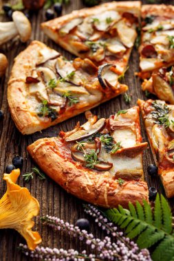 Mantar pizza, yabani yenilebilir mantar ilavesi ile pizza dilimleri; porcini mantar, chanterelle ve mozzarella peyniri ve otlar ahşap rustik bir masa üzerinde, yakın çekim bir orman düzenleme ahşap rustik masa, üst görünümü.