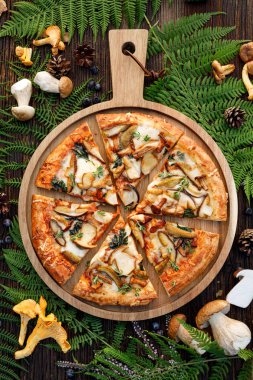 Mantar pizza, yabani yenilebilir mantar ilavesi ile pizza; porcini mantar, chanterelle ve mozzarella peyniri ve otlar bir orman düzenleme ahşap rustik masada, üst görünümü.