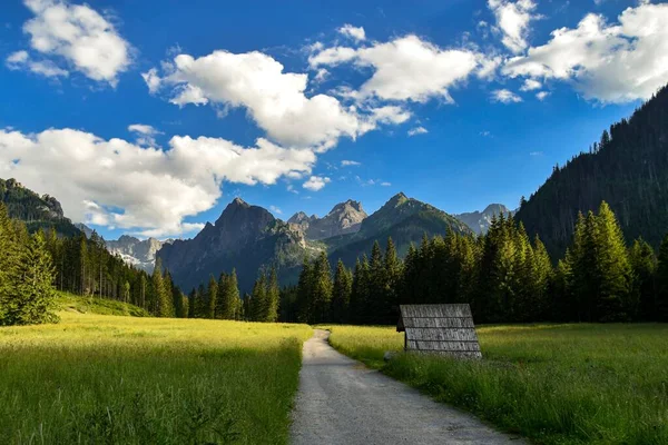 Bielovodska dolina, Dolina Bialej Wody, Tatra dağlarındaki Beyaz Su Vadisi. Tatry dağlarındaki güzel manzara, Dolina Bialej Wody