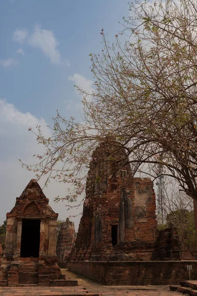 Ayutthaya Thailandia 2015 Febbraio Palazzo Storico Prang Wat Ratchaburana Con — Foto Stock
