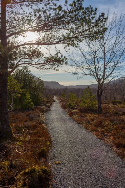 HAREID, NORWAY. Walking trail in the nature of Norway