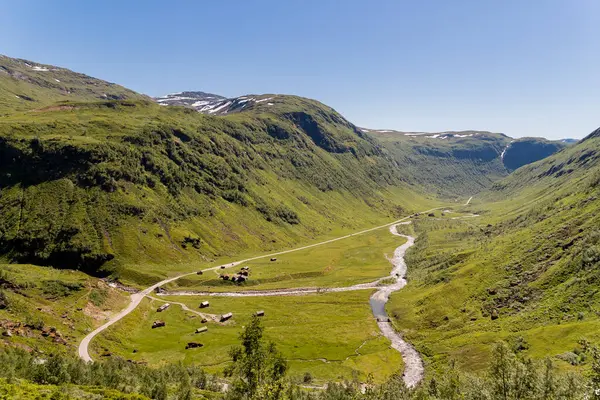 Myrkdalen Norway 2018 Lipiec Dolina Myrkdalen Zieloną Trawą Starymi Domami — Zdjęcie stockowe