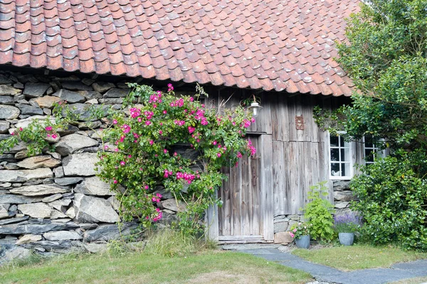 Skudeneshavn Norway 2018 July 挪威古老的农舍 外面开着美丽的花 — 图库照片