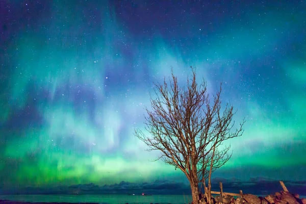 Ulsteinvik Noorwegen 2016 Maart Noorderlicht Aurora Borealis Boven Ulsteinvik — Stockfoto