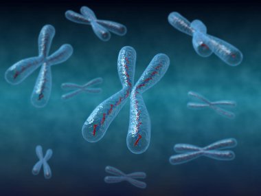3D render of chromosomes with DNA strand  clipart