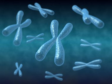 Kromozomlar - 3d Render kalıbı