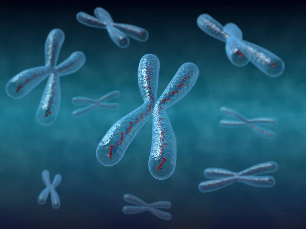 Dna鎖を持つ染色体の3Dレンダリング — ストック写真