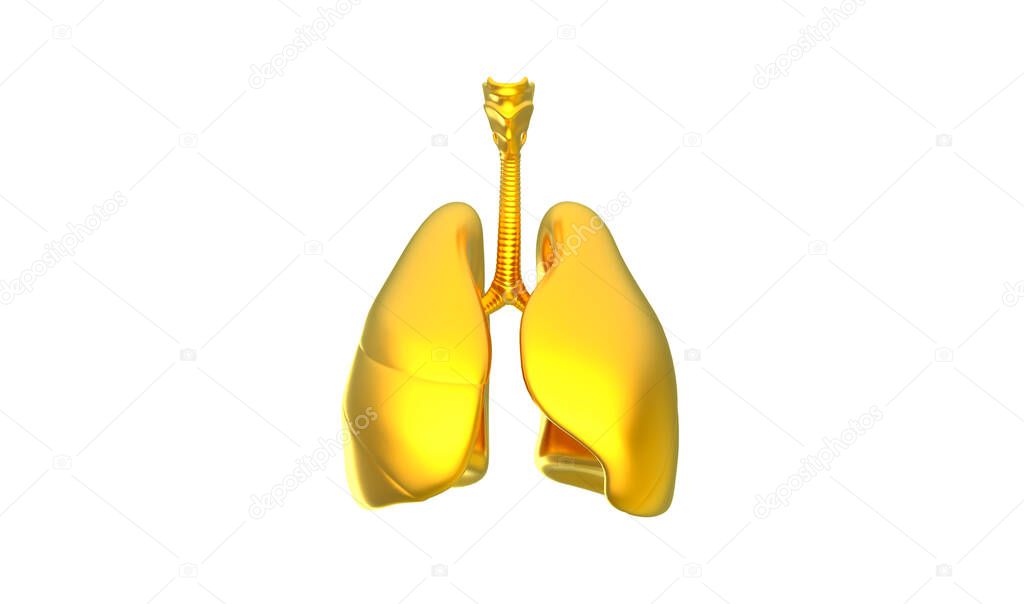 3D render image of lungs in golden color