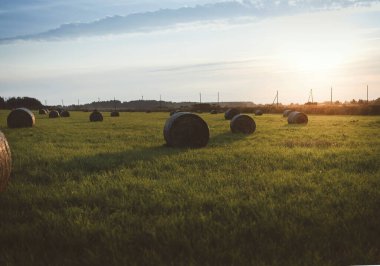 Gün batımı samanlıkların arasında.
