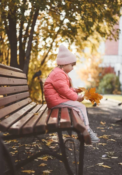 Niño Juega Con Hojas Otoño — Foto de Stock