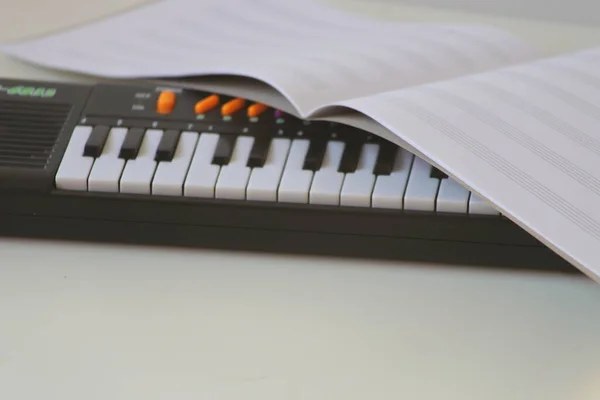 Portable electronic keyboard and music notebook