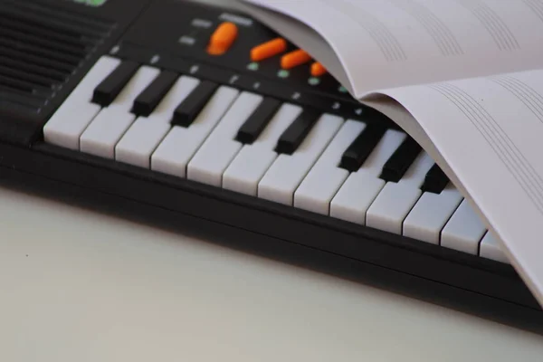 Taşınabilir elektronik klavye ve müzik defteri