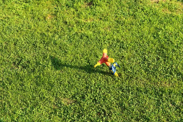 Yeşil arka planda bir bahçe fıskiyesi. Yakın plan..