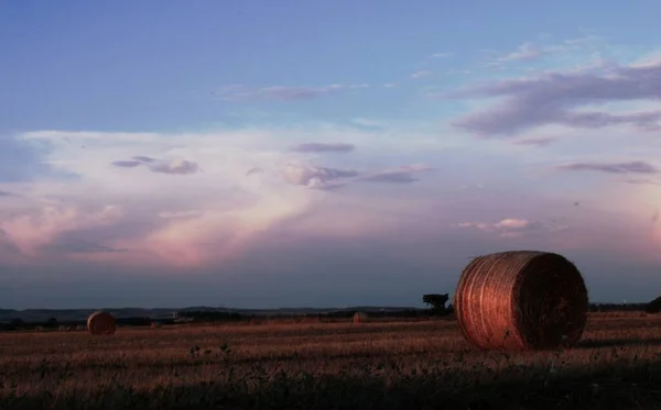 View of bale of hay in a field during sunset. Photo taken on July 14, 2020. Location: San Gavino Monreale, Sardinia, Italy.