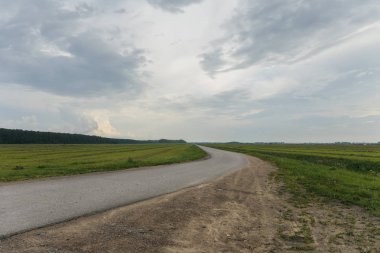 ' Rusya'nın kuzey kesiminde biçilmis çim ile alanında asfalt yol