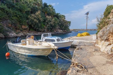 palmiye orman ve mavi gökyüzü arka plan üzerinde Rıhtımda iki Motorlu kayak sandallar