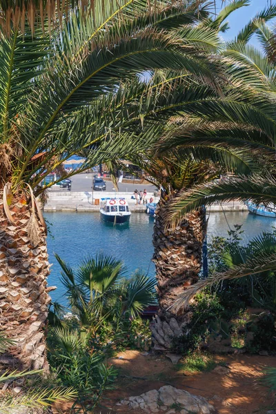 Das Konzept Eines Sommerurlaubs Palmen Blaues Meer Ruhende Menschen — Stockfoto