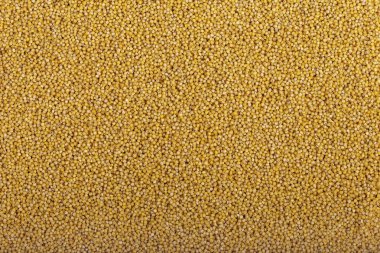 Doğal sağlıklı gıda kavramı. Darı closeup küçük taneleri