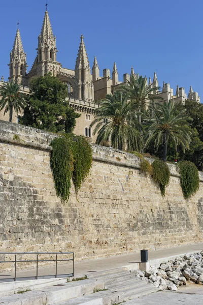 Kilátás Nyílik Mary Székesegyház Palma Mallorca Spanyol Város Temploma — Stock Fotó