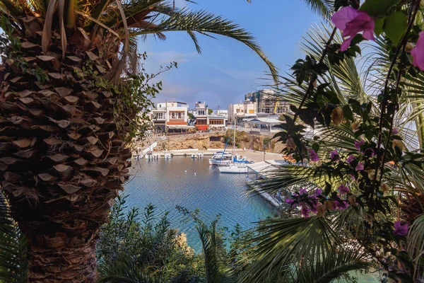 View Palm Forest Quiet Harbor Boats Greek Fishing Village Sissi — Stock Photo, Image