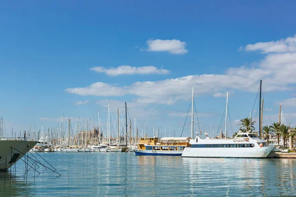 安全港口城市帕尔马德马略卡岛蓝天下的旅游船和小帆船 — 图库照片
